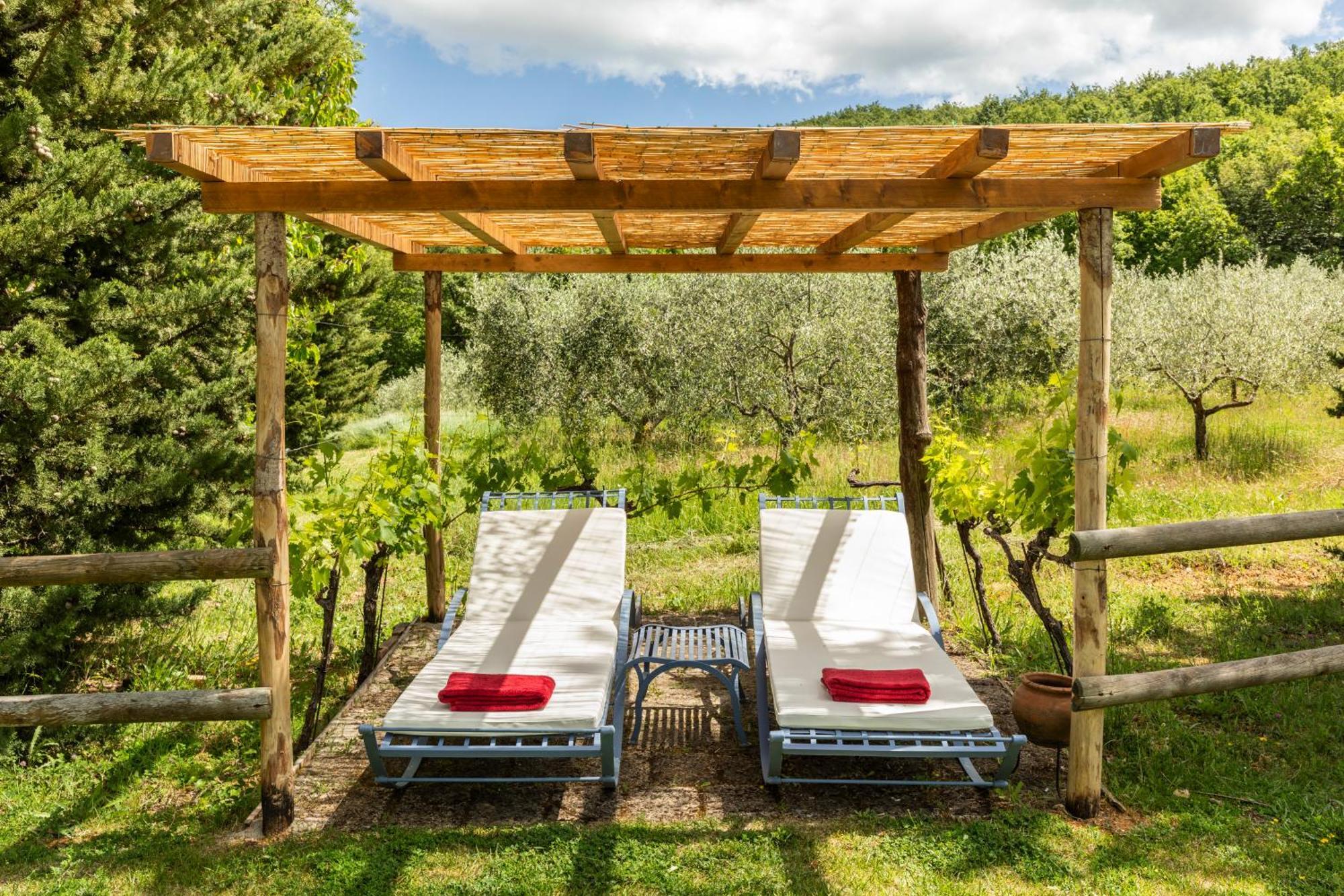 B&B - Podere Monti Montepulciano Stazione エクステリア 写真