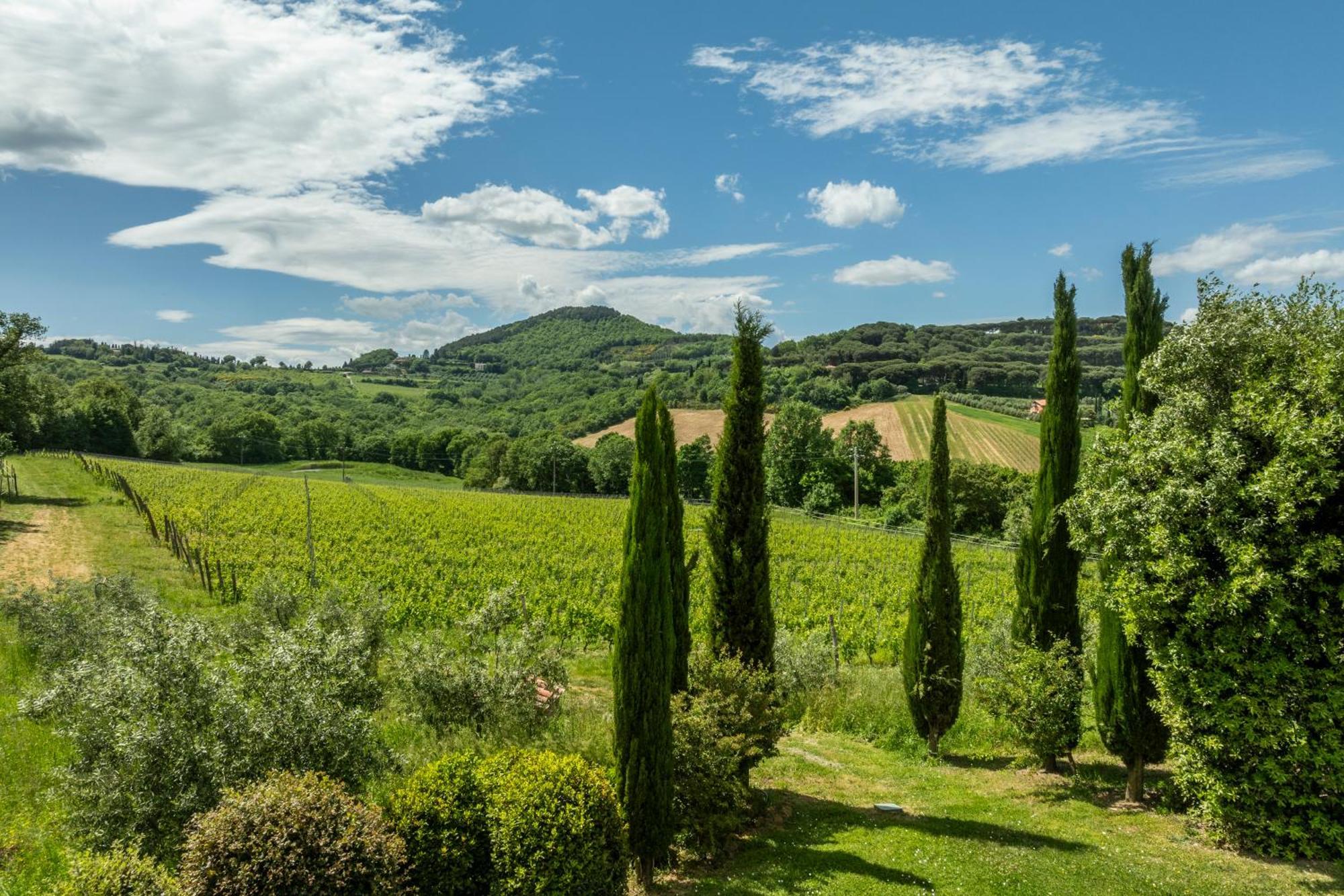 B&B - Podere Monti Montepulciano Stazione エクステリア 写真